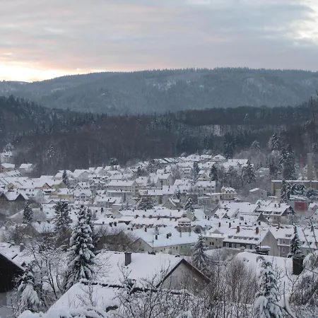 Angela 아파트 바덴바덴