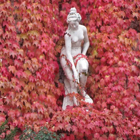 Angela بادن بادن