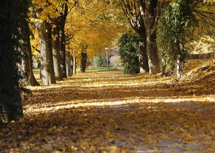 Appartement Angela *