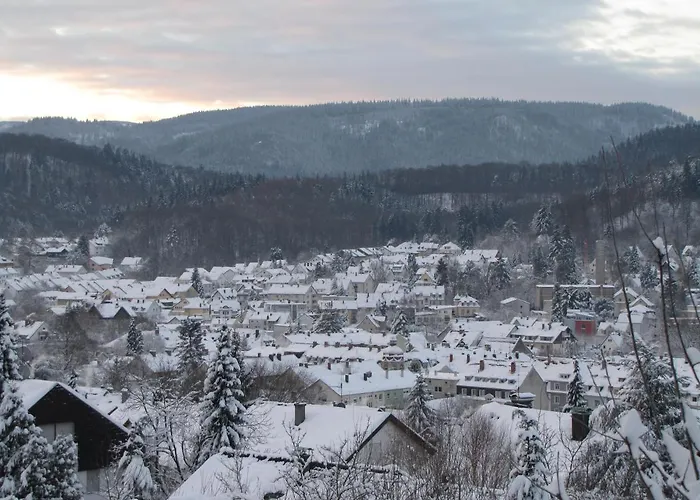 Angela Appartement Baden-Baden