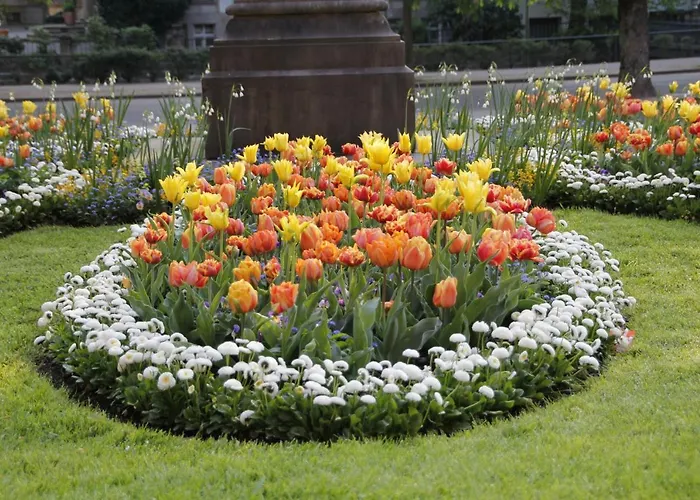 Angela Apartamento *