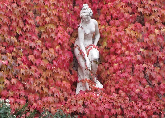 Angela بادن بادن